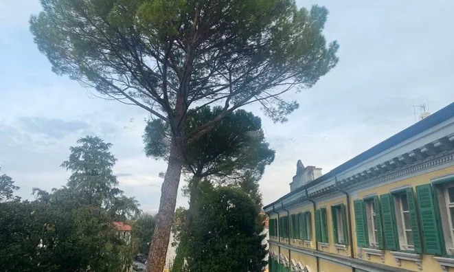 Недвижимость Квартира на улице Семинария: 3