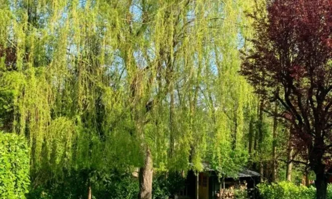 Недвижимость Semi-detached house 3 bedrooms for sale in Mamer: 6