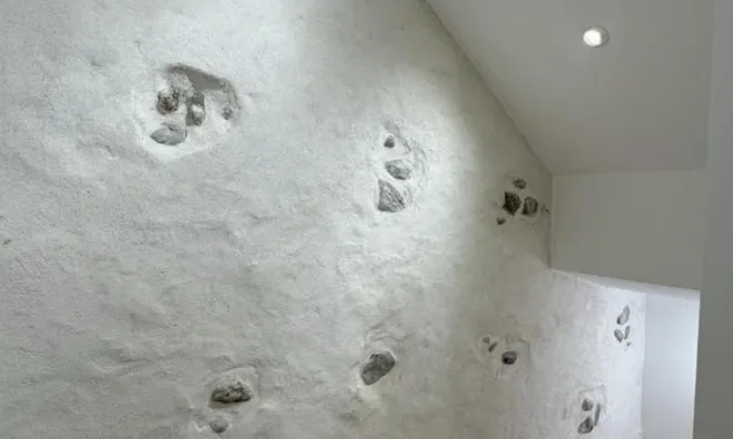 Недвижимость Apartment 5.5 rooms: 4