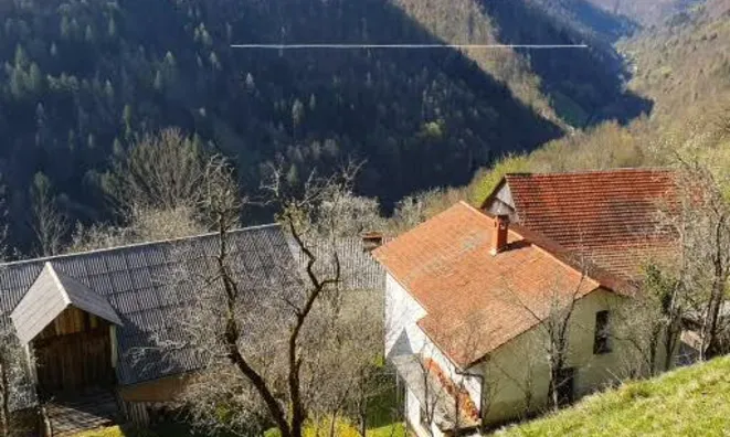 Недвижимость Усадьба, ферма Кук: 6