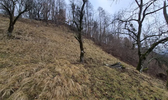 Недвижимость Усадьба, ферма Кук: 7