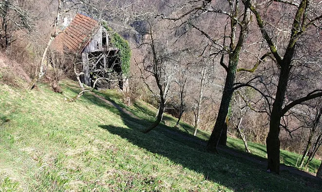 Недвижимость Усадьба, ферма Кук: 11