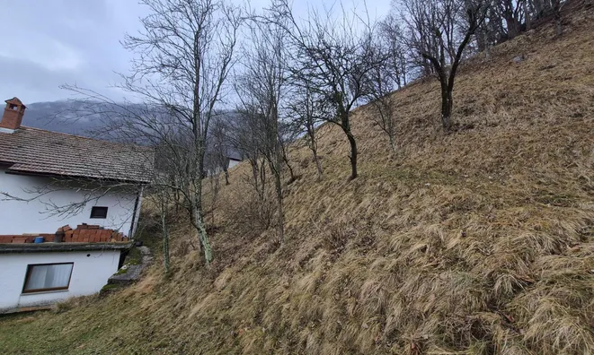 Недвижимость Усадьба, ферма Кук: 14