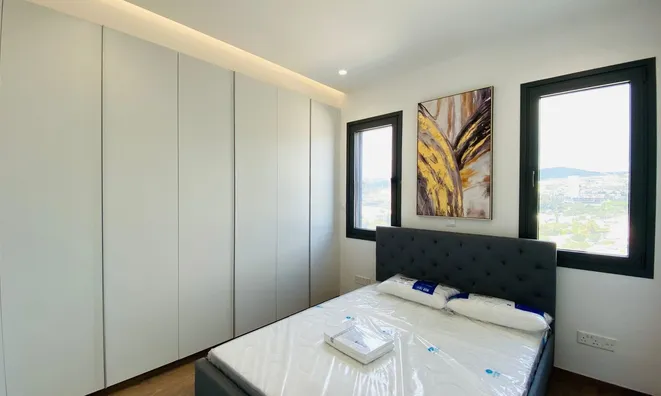 Недвижимость 3 Bedroom Apartment For Sale in Mouttagiaka, Limassol: 12