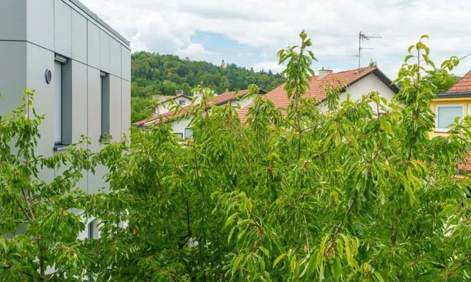 Недвижимость Квартира, 3 комнаты, Рожна Долина: 4