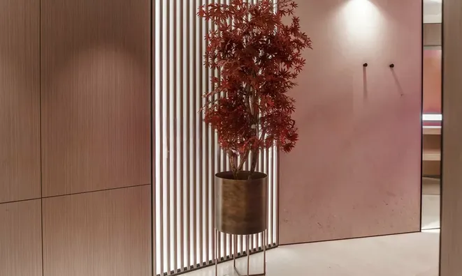 Недвижимость Apartment Monaco, Condamine: 14