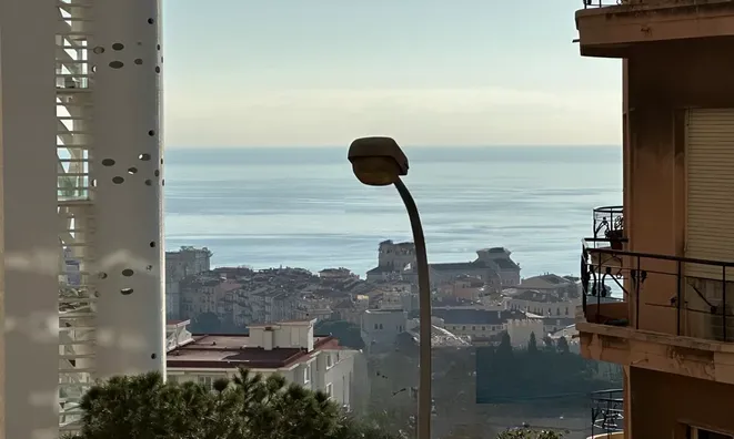 Недвижимость Apartment Monaco, Jardin Exotique: 4