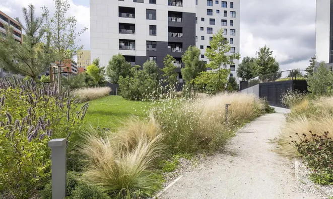 Недвижимость Apartment 2.5 rooms New Leshe: 5