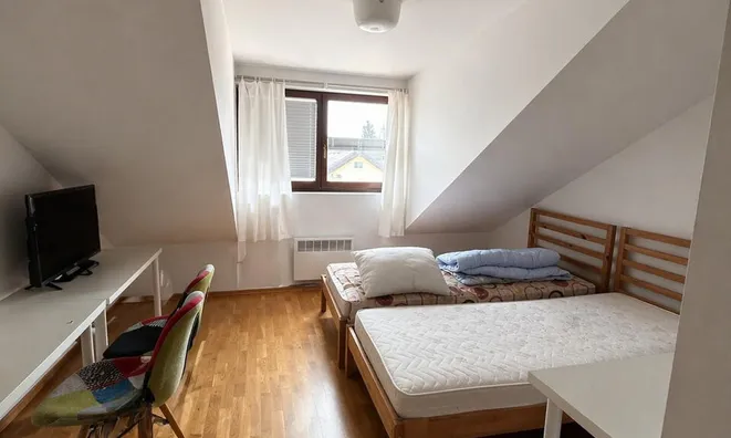 Недвижимость Квартира, 5+ комнат, Вич Тржашка Цеста: 4