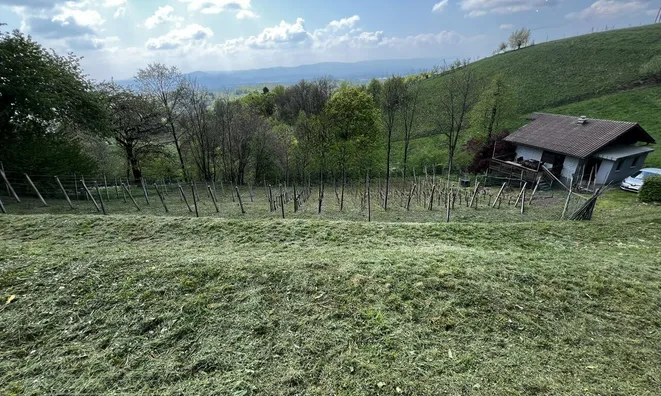 Недвижимость House, Upper Pokhanca: 4