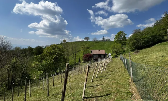 Недвижимость House, Upper Pokhanca: 8