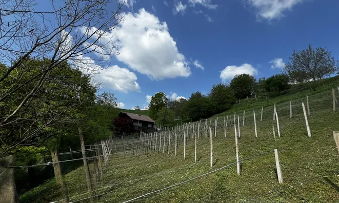 Недвижимость House, Upper Pokhanca: 9
