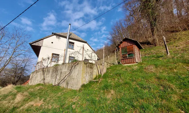 Недвижимость House in Olesche.: 2