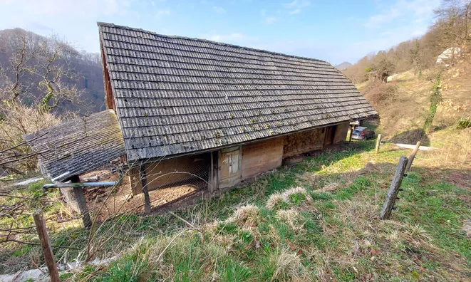 Недвижимость House in Olesche.: 3