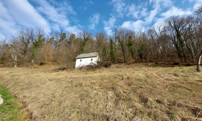 Недвижимость House in Olesche.: 11