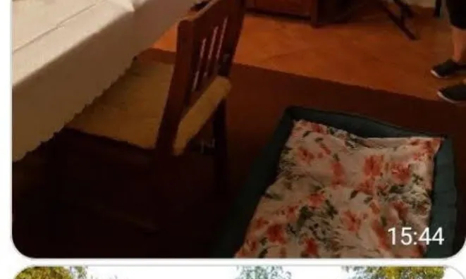 Недвижимость House in Spodnje Dobrne: 10