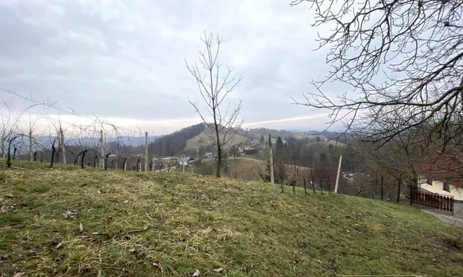 Недвижимость Дом Циркулане Птуй Околица: 8