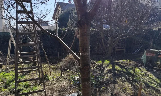Недвижимость House in Ljubljana, Šiška: 4