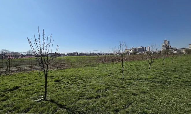 Недвижимость House, Podgorica: 5