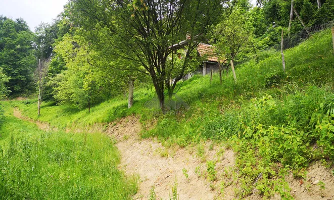 Недвижимость House, Macaulay, Stari Grad: 6