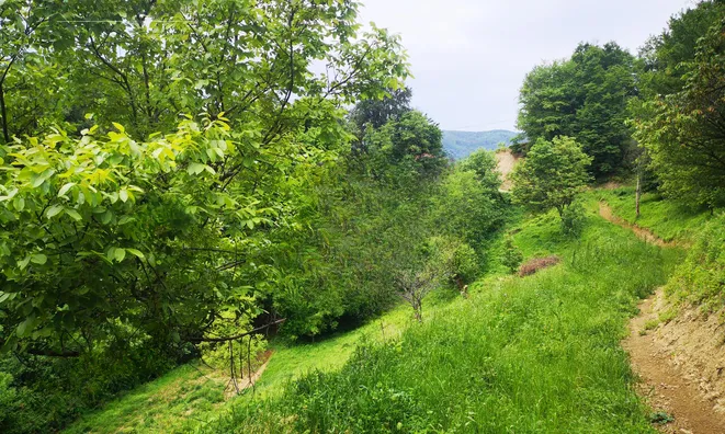 Недвижимость House, Macaulay, Stari Grad: 7