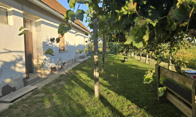 Недвижимость House with Terrace Mihovtsi: 1