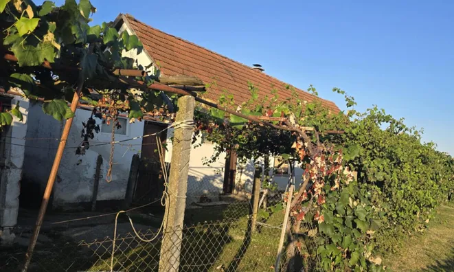 Недвижимость House with Terrace Mihovtsi: 2