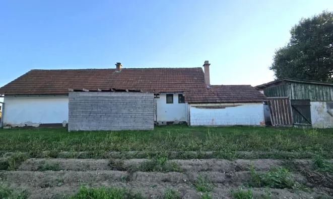 Недвижимость House with Terrace Mihovtsi: 6
