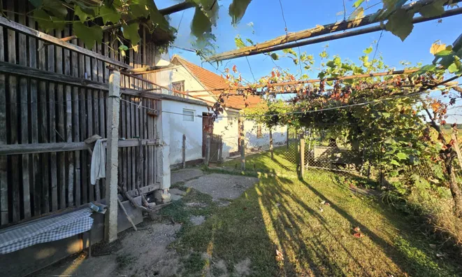 Недвижимость House with Terrace Mihovtsi: 7