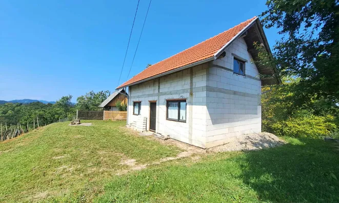 Недвижимость House, Grushkovets: 1
