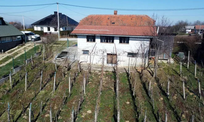 Недвижимость House, Lendava Hills: 7
