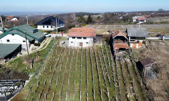 Недвижимость House, Lendava Hills: 8