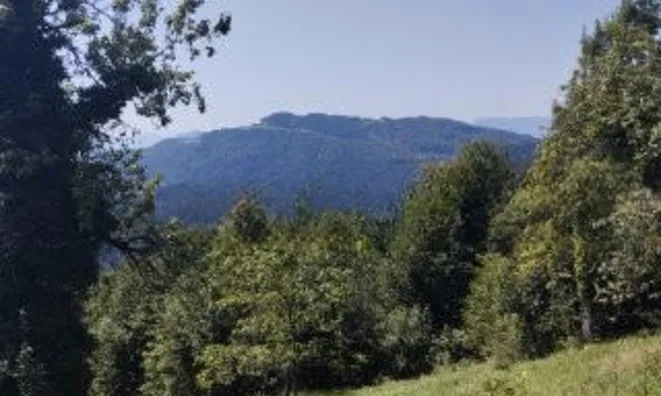 Недвижимость House in Topolšica: 4