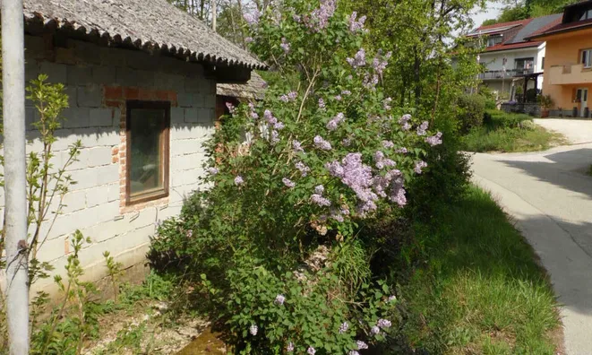 Недвижимость House, Cerov Log: 5