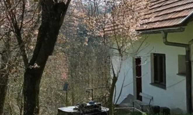 Недвижимость House in Nizhnyaya Rechitsa: 2
