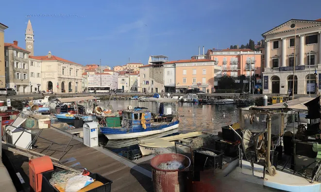 Недвижимость One-room apartment in Piran: 15