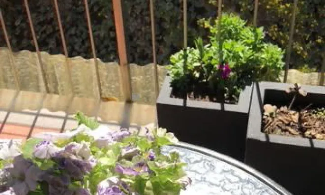 Недвижимость Four-room apartment in Koper: 3