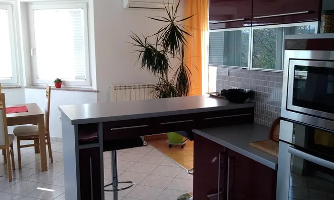 Недвижимость Four-room apartment in Dekani: 7