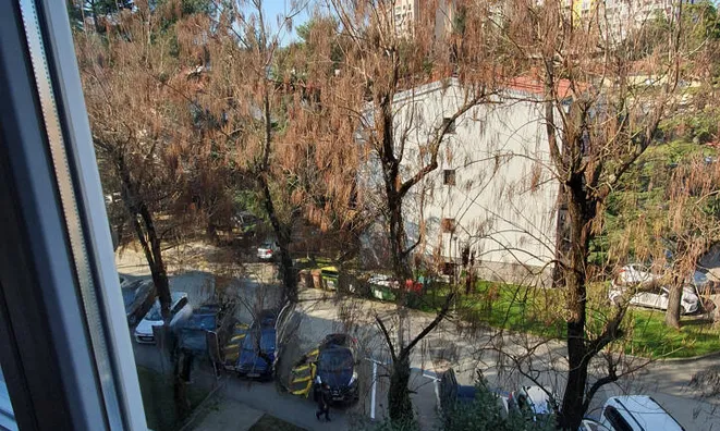 Недвижимость Two-room apartment in Olmo: 7