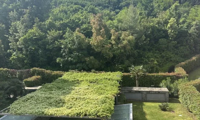 Недвижимость 2-room apartment Lucia: 24
