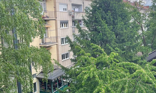 Недвижимость Multi-room apartment in the center: 3