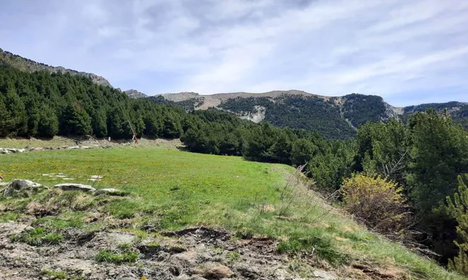 Недвижимость Townhouse for sale in Canillo, 3 bedrooms: 15