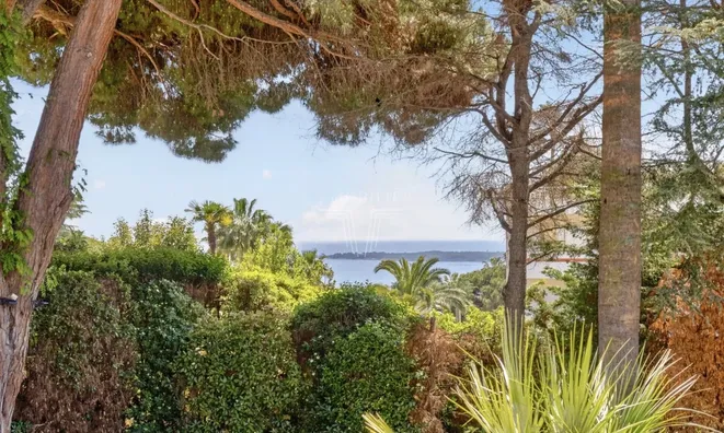 Недвижимость House Cannes Californie: 7