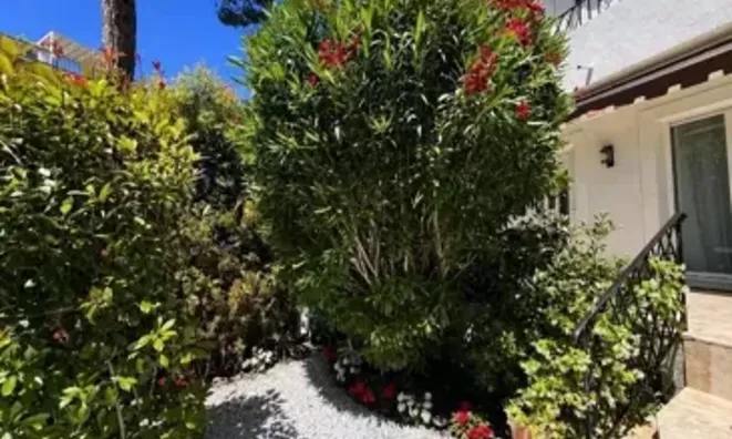 Недвижимость Villa Cannes: 3