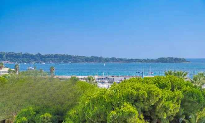 Недвижимость Villa Pointe Croisette: 12