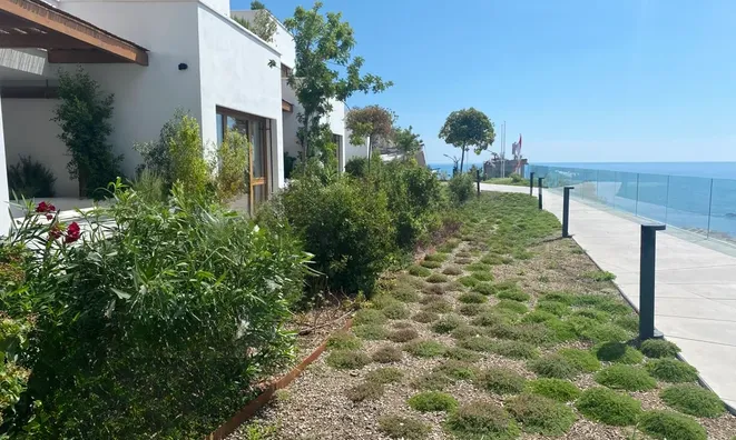 Недвижимость Apartment Monaco, Jardin Exotique: 1