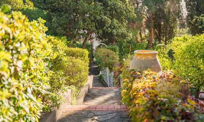 Недвижимость Villa Cannes: 21