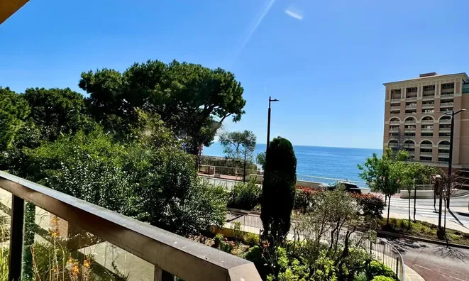 Недвижимость Apartment Monaco, La Rousse: 12