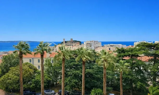 Недвижимость Villa Cannes Carnot: 5
