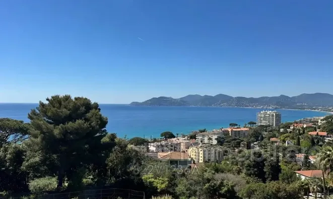Недвижимость Villa Cannes: 1